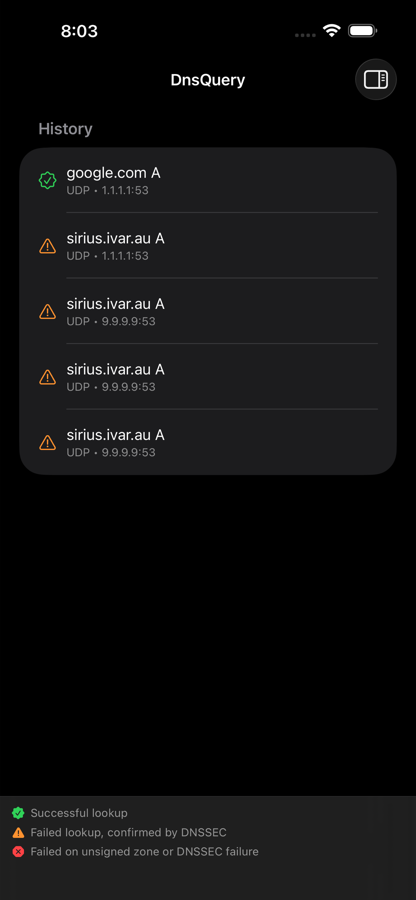 DnsQuery on iPhone sidebar showing a list of recent queries with per-entry status icons
