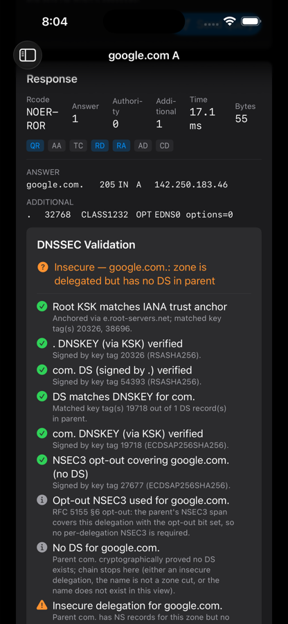 DnsQuery on iPhone showing an Insecure outcome for google.com because the zone isn't DNSSEC-signed