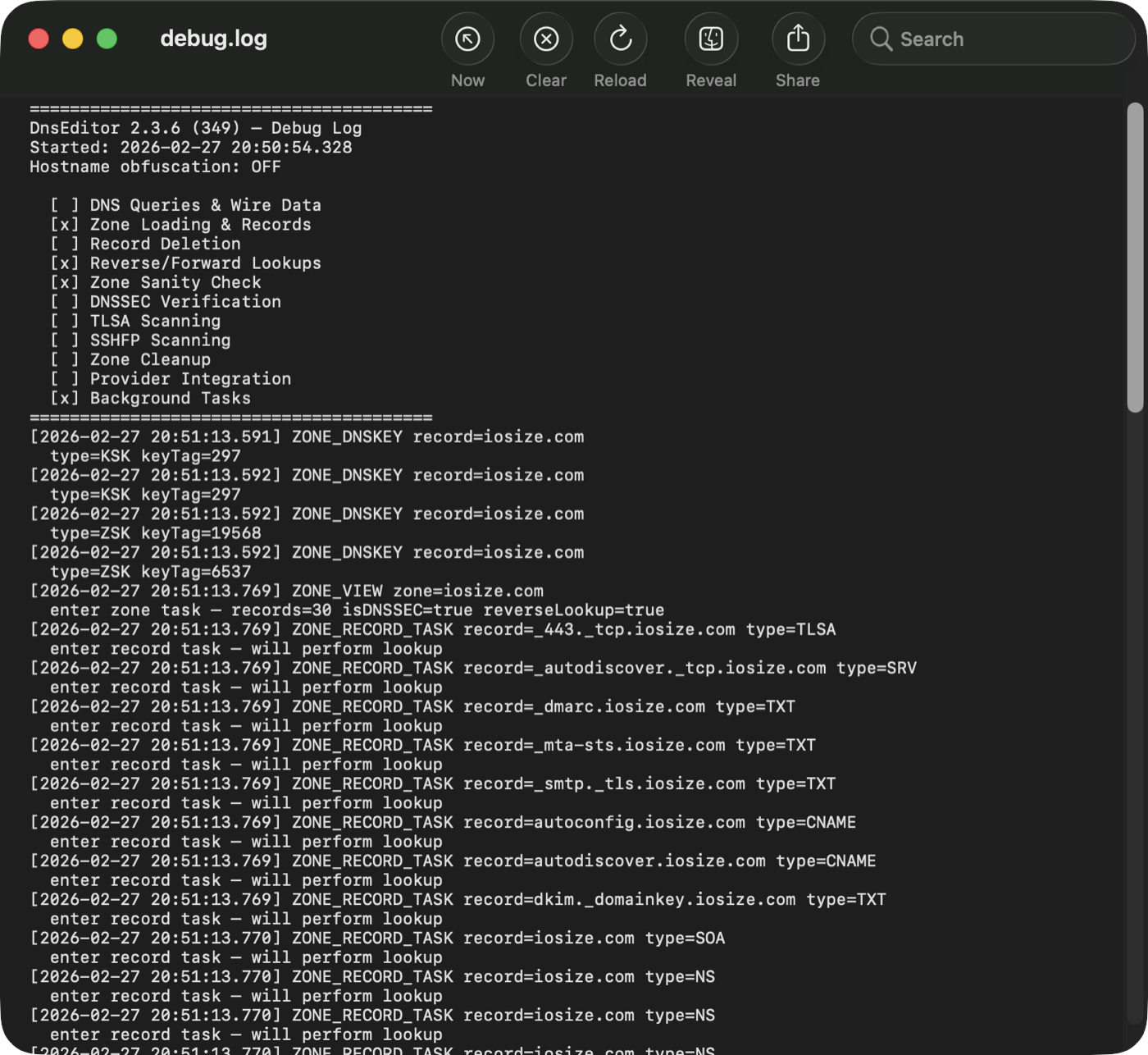 Debug log output showing DNS queries and zone loading events