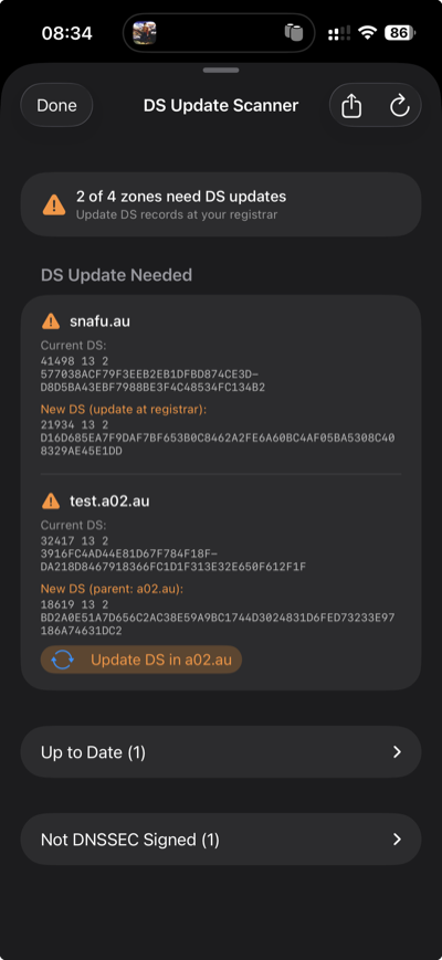 DS Update Scanner results on iPhone showing DS update needed