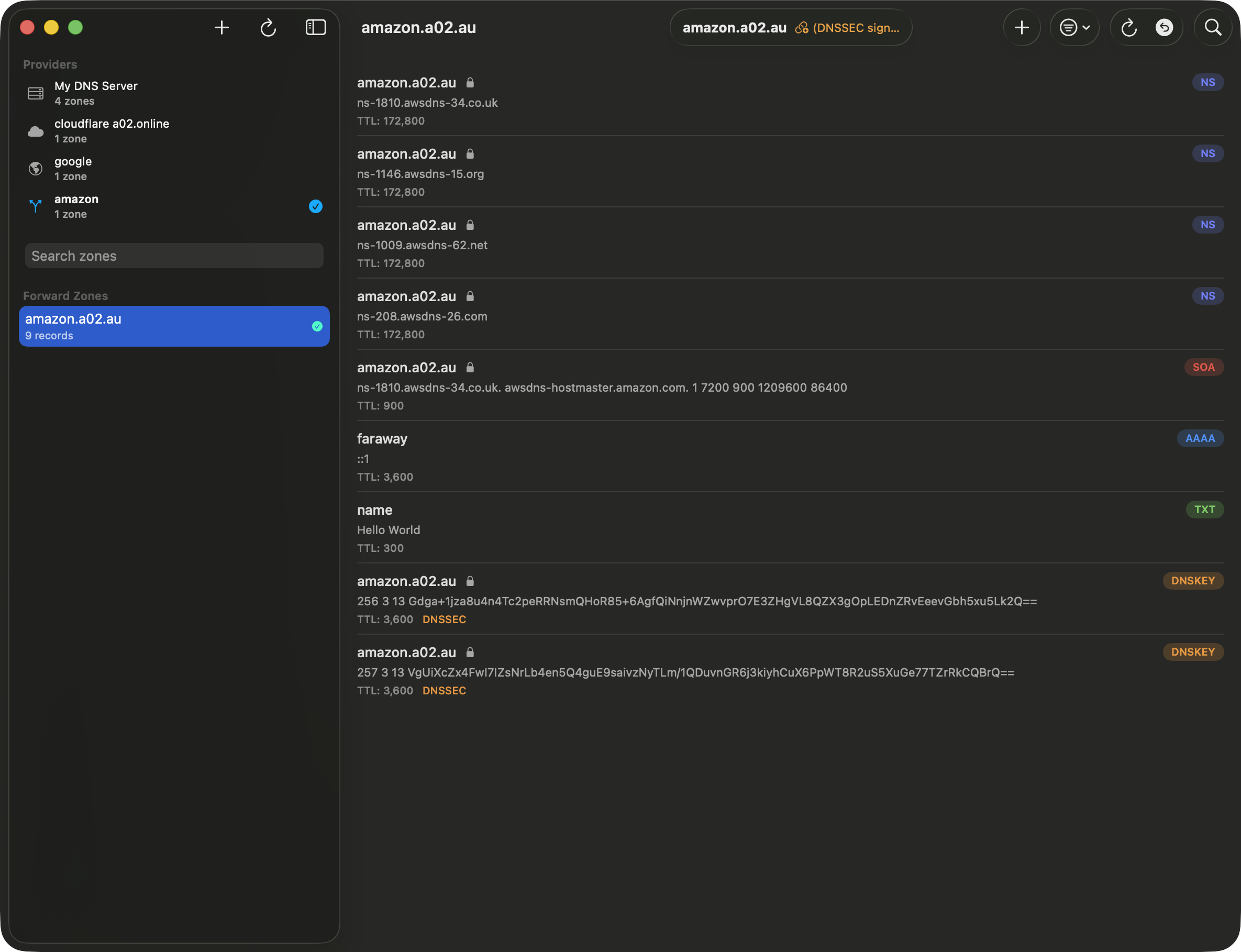 DnsEditor main view showing zone list and records