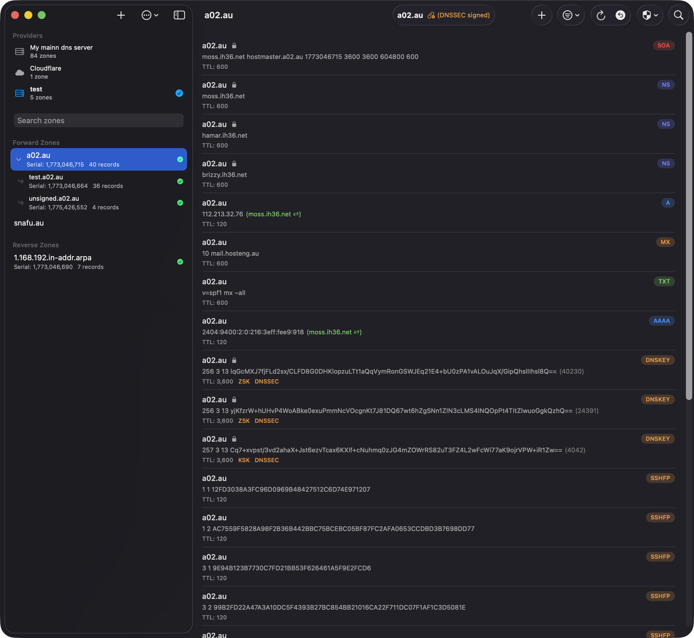 DnsManager main view showing zone list and records