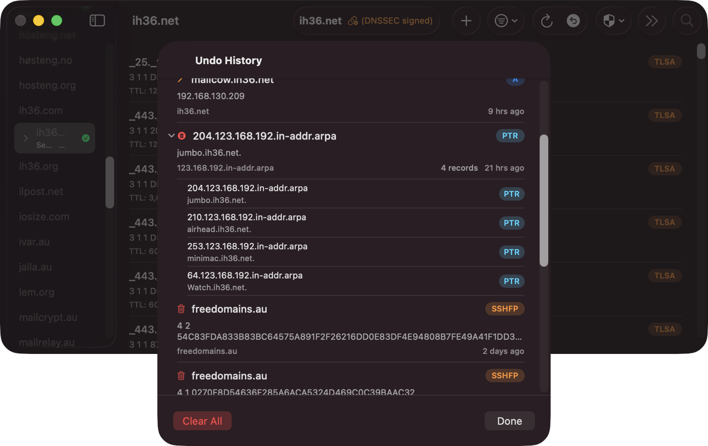 Undo History with expanded bulk entry showing individual PTR records